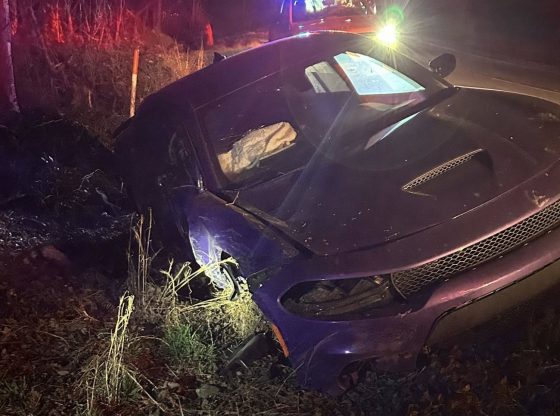 Driver suspected of DWI after early morning crash on Lobelia Road