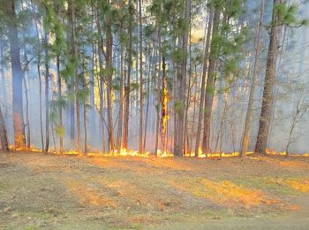 Roads closed as crews battle outside fire in Pinehurst