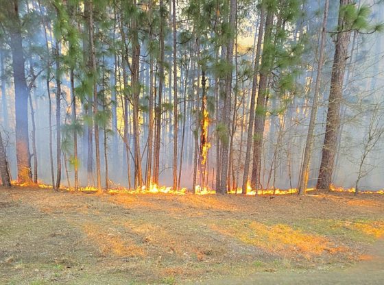 Roads closed as crews battle outside fire in Pinehurst