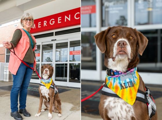 Ginger: From shelter to therapy dog