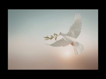 Obituary for Alden Hales Ritter