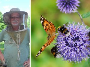 Spring brings pollinators, migratory birds back to Moore County