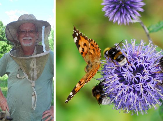 Spring brings pollinators, migratory birds back to Moore County