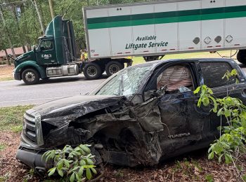 Pickup slams into tree on Plank Road