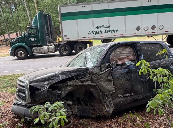 Pickup slams into tree on Plank Road