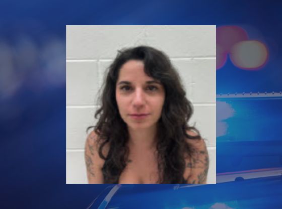 SP woman charged after drugs found during park check