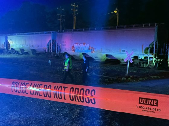 Man fatally struck by train in Pinehurst