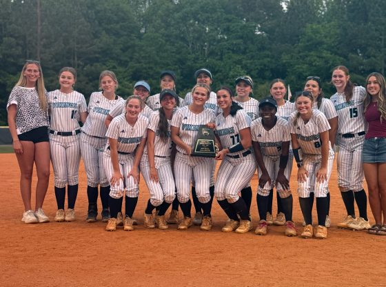 Vikings perfect during regular season