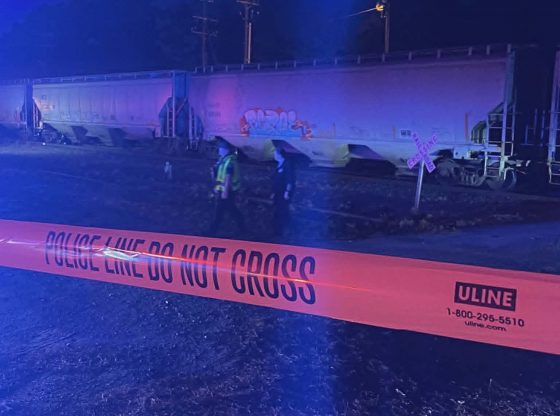 Man fatally struck by train in Pinehurst