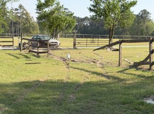 Car crashes through fence near Vass
