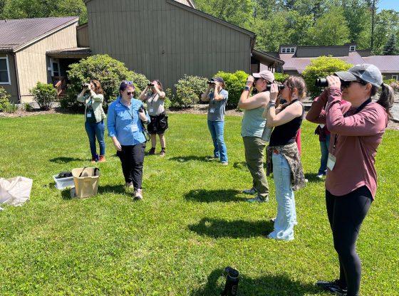 Free introductory outdoor skills event for women