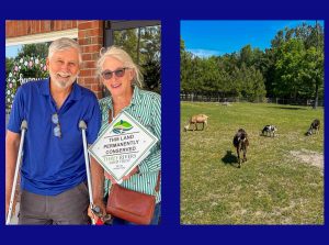43-acre sheep, goat farm conserved in Moore County