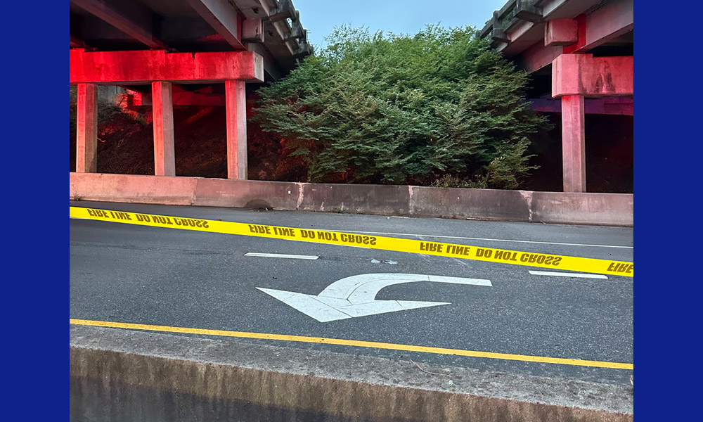 Truck flies off overpass in dramatic Midland Rd. crash