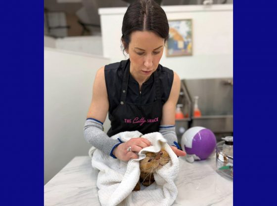 The Catty Shack offers vital service for felines