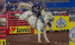 A look inside the Carthage Rodeo with professional cowboy Mark Kreder