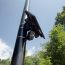 SP Council asks questions about Flock camera usage
