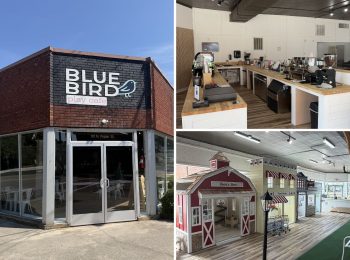 Blue Bird Play Cafe opens June 3
