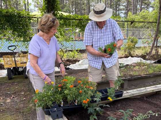 New nonprofit awarded grant to enhance dementia respite care