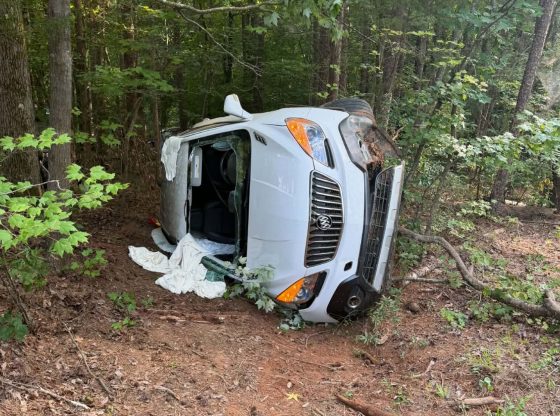 Driver escapes serious injury in Star rollover