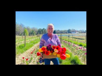 Obituary for Doris Monroe