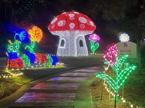Volunteers needed for SCC's new 1 million-light holiday display