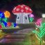 Volunteers needed for SCC's new 1 million-light holiday display