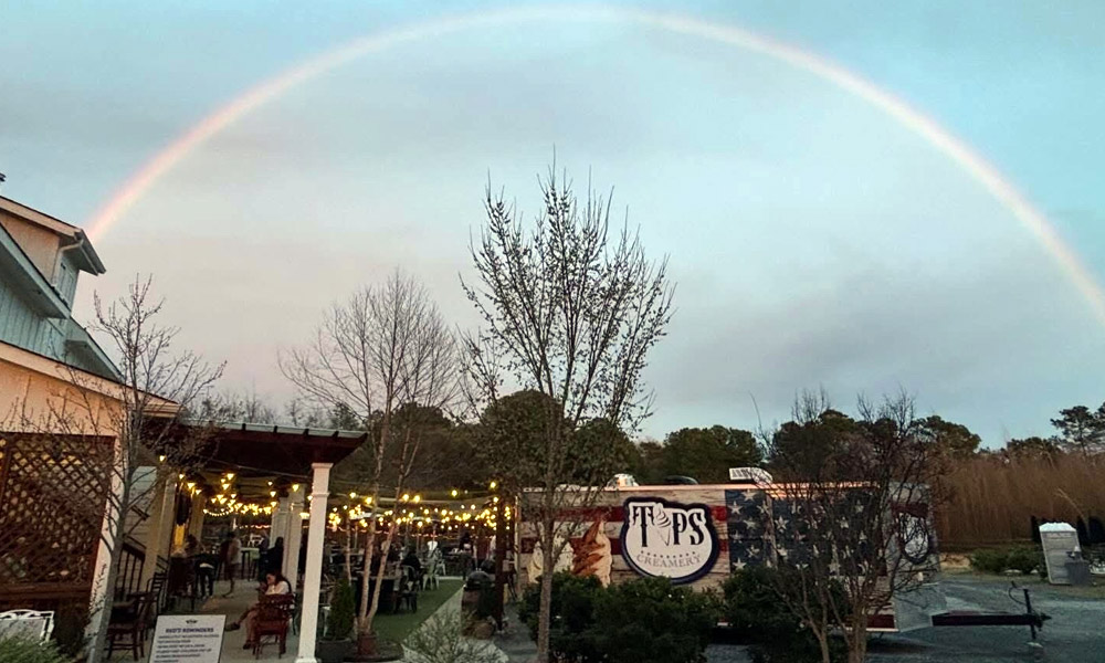 TAPS Creamery celebrates first year on NC road 