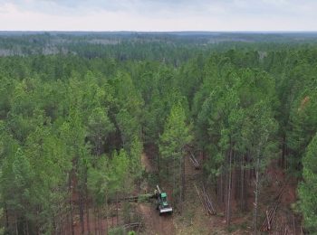 Moore County issued BDO Zone ‘A’ rating for woody biomass