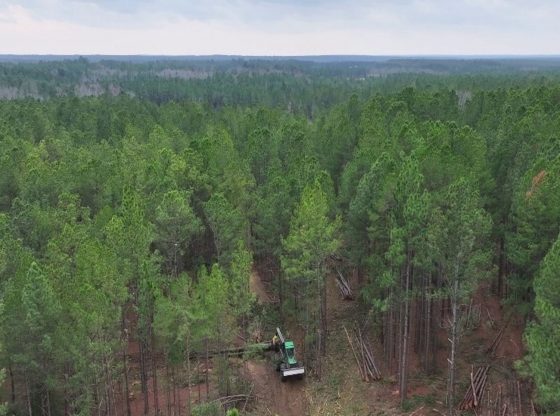 Moore County issued BDO Zone ‘A’ rating for woody biomass