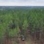 Moore County issued BDO Zone ‘A’ rating for woody biomass