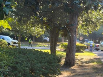 Woman and dog killed in golf cart crash