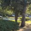 Woman and dog killed in golf cart crash