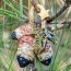 Hit Moore trails to hunt for handmade treasures